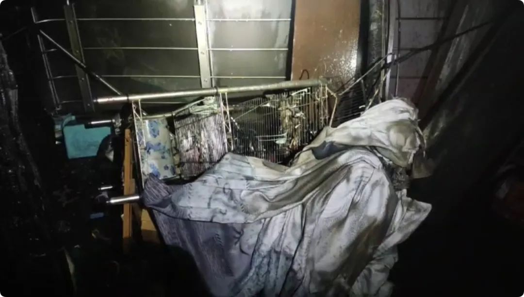 全网担保网(中国游)最具权威唯一维权担保平台